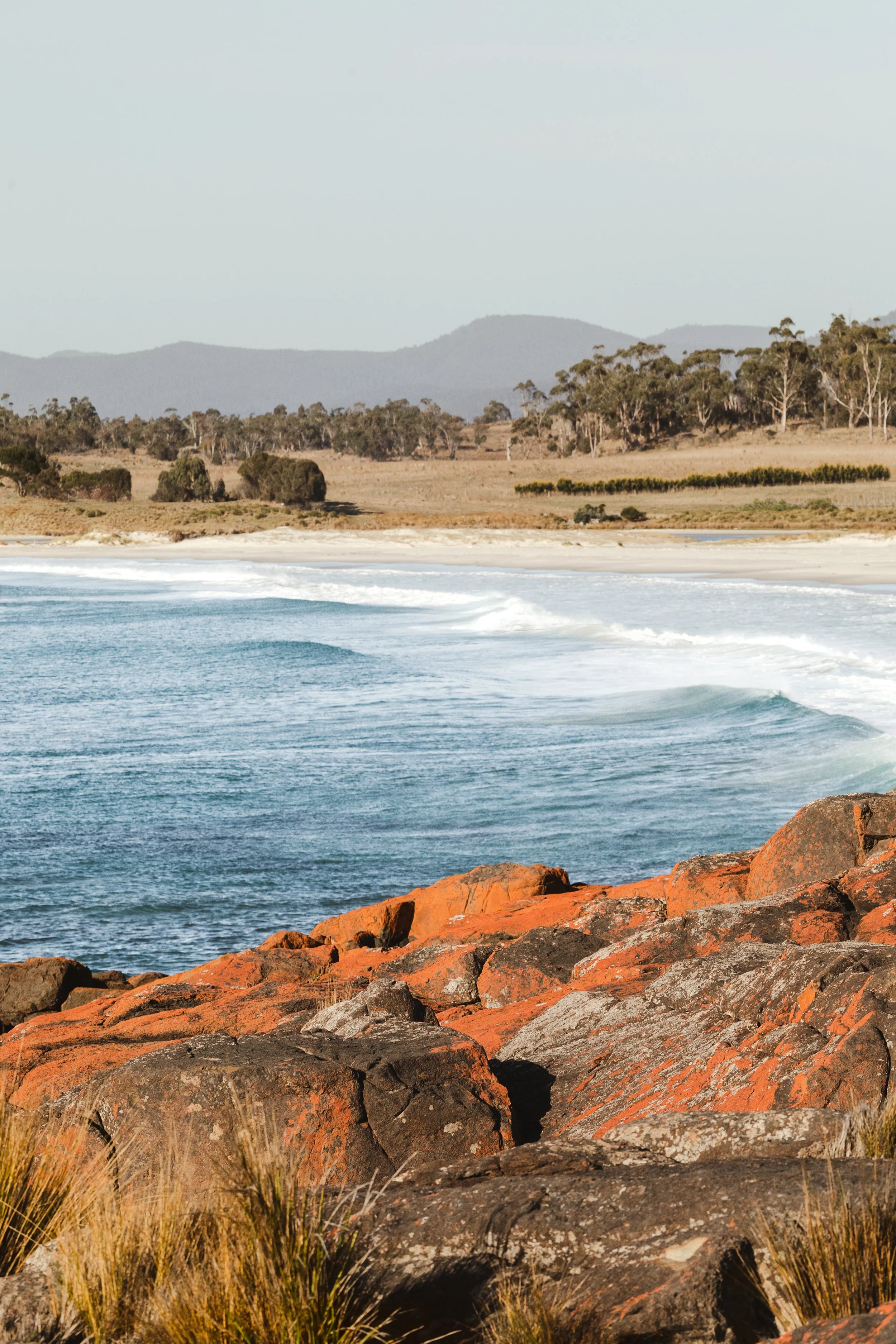 Terrain Throw Bay of Fires - Waverly Mills Throws Waverly Mills 