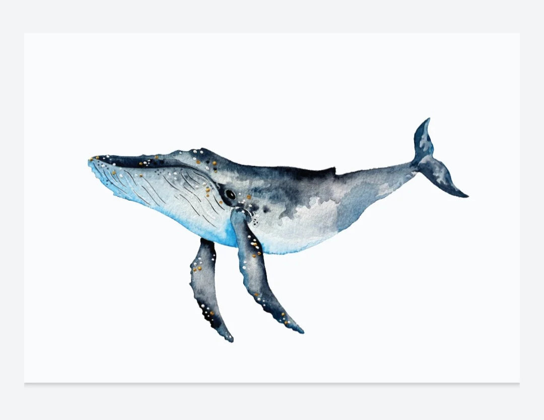 Bosa Art Co A4 Art Prints Art Print Bosa Art Co Whale Song 