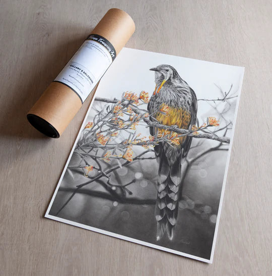 'Yellow Wattlebird' Art Print - Fiona Francois Art Print Fiona Francois 