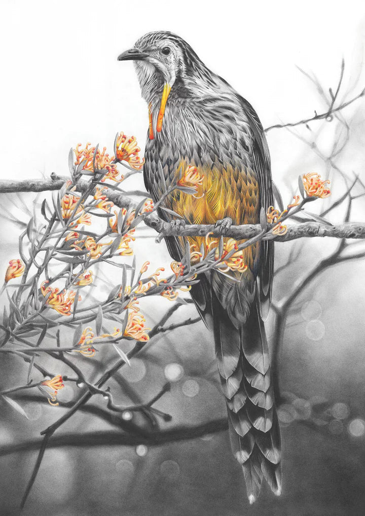 Fiona Francois Greeting Cards greeting cards Fiona Francois Yellow Wattlebird 