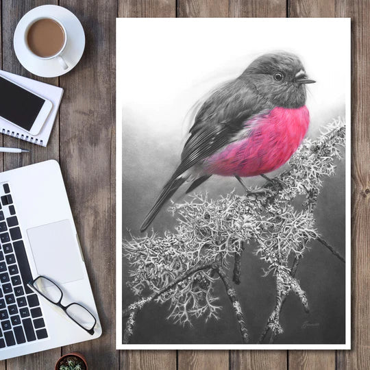 'Pink Robin' Art Print - Fiona Francois Art Print Fiona Francois 